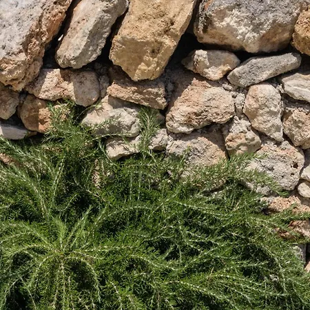 Διαμέρισμα Lu Rusciu Te Lu Mare *